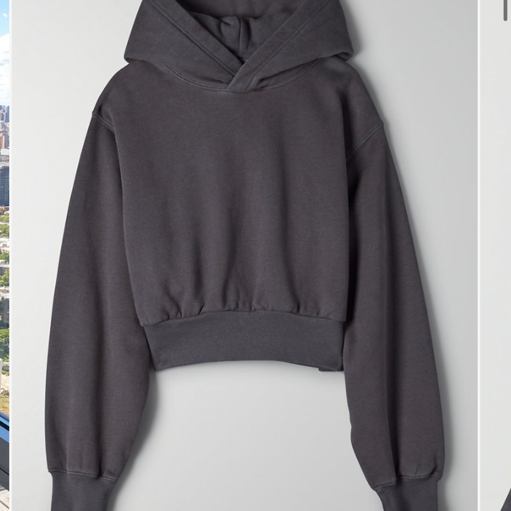 NWT Aritzia Perfect Shrunken Hoodie Sz S Periscope